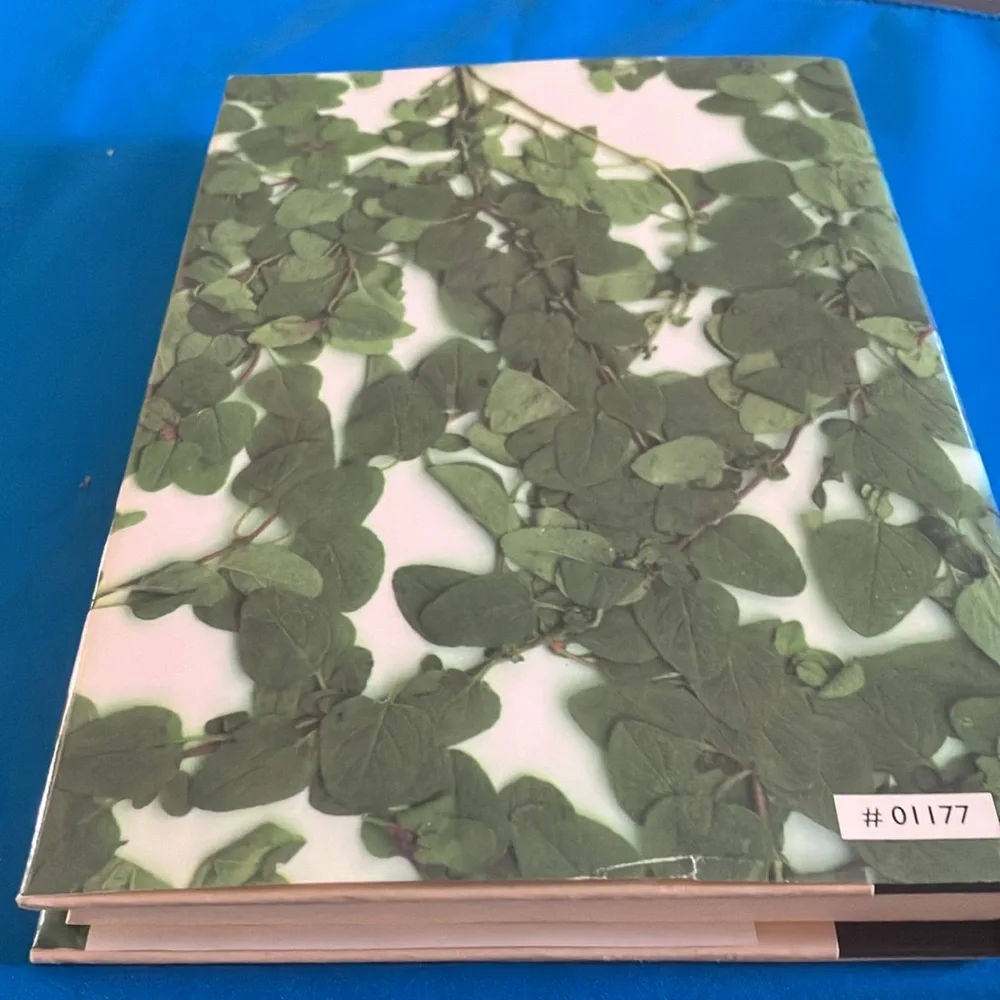 Wild Mountain Thyme Book by Rosamunde Pilcher